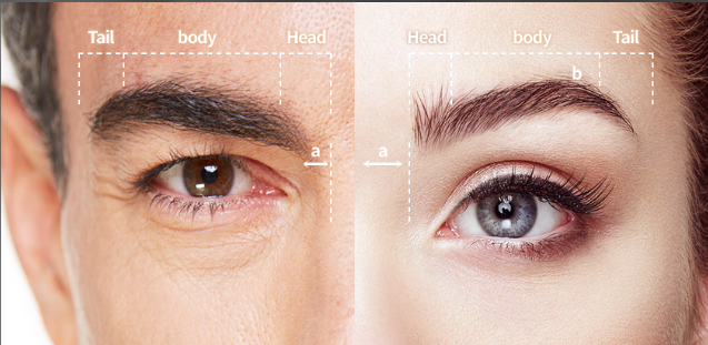 EYEBROWS Male Vs Female - Root Hair Transplant Clinic